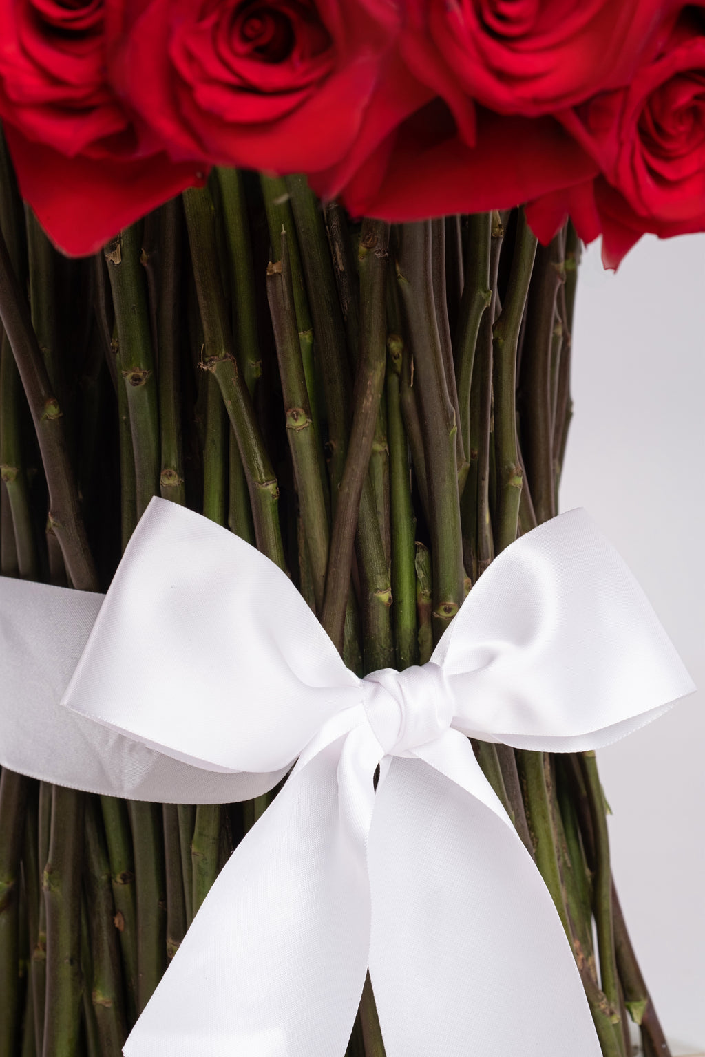 Scarlet Promise Signature