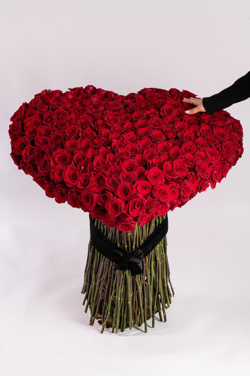 Scarlet Promise Signature