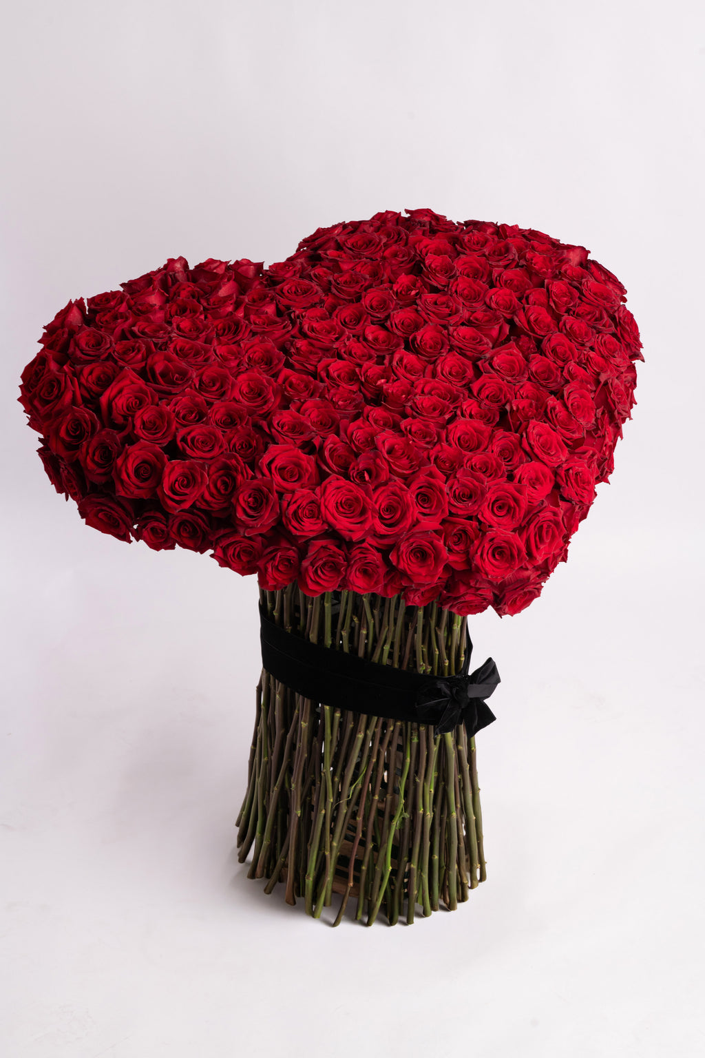 Scarlet Promise Signature