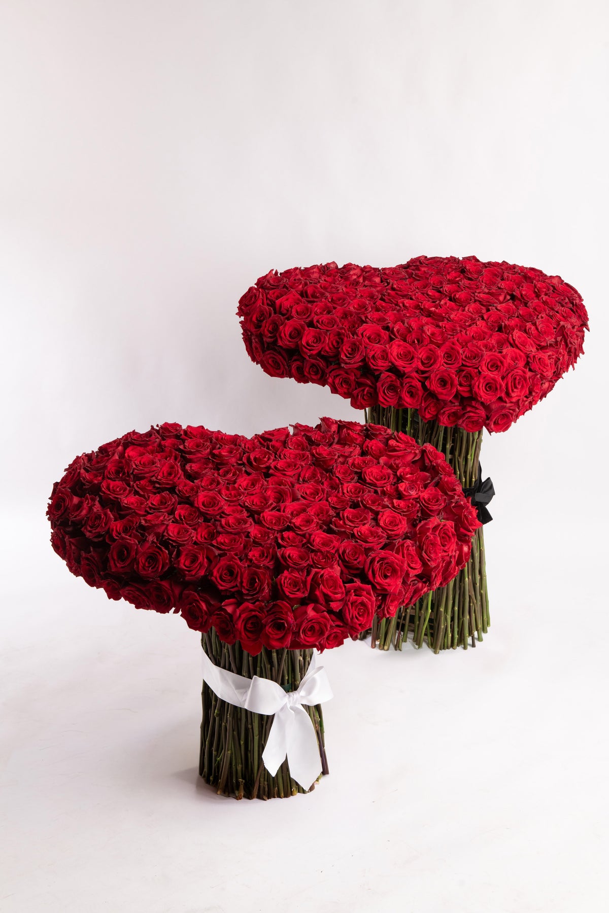 Scarlet Promise Signature